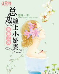 离婚无效:总裁缠上萌妻(书号:8576)